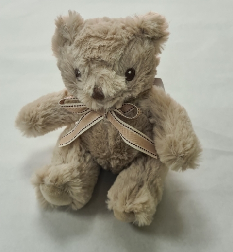 Teddy Bear Recycled Ralph